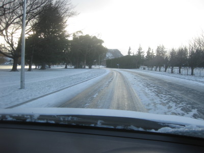 IMG_3544_1.jpg