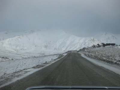 IMG_3564_1.jpg