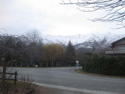 IMG_3567_1.jpg