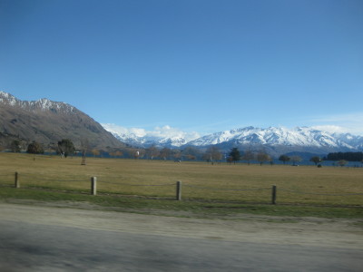 IMG_3716.jpg