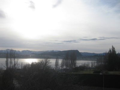 IMG_3727_1.jpg