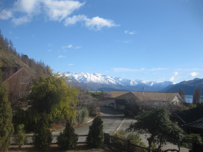 IMG_3744_1.jpg
