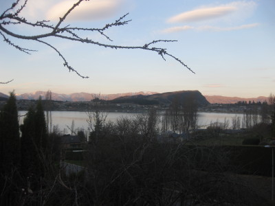 IMG_3760.jpg