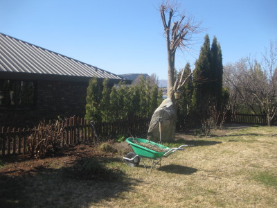 IMG_3763_1.jpg