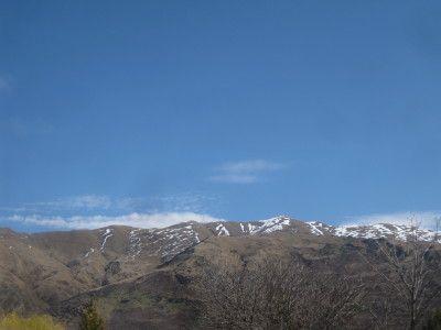 IMG_3770_1.jpg