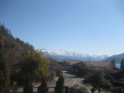 IMG_3774_1.jpg