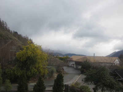 IMG_3785_1.jpg