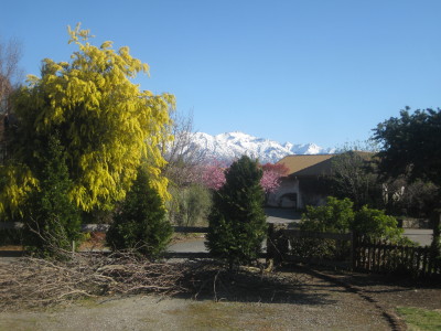 IMG_4055_1.jpg