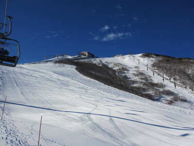 IMG_0428_1.jpg