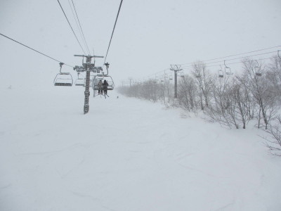 IMG_1280_1.jpg