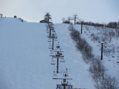 IMG_1345_1.jpg