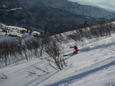 IMG_1354_1.jpg