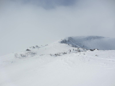 IMG_1371_1.jpg