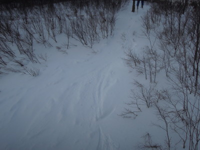 DSCN0596_1.jpg