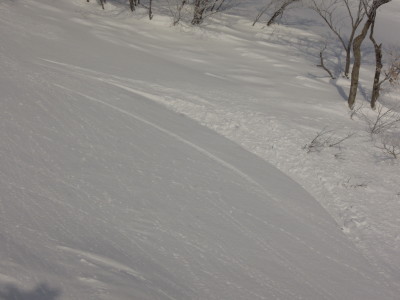 DSCN0681_1.jpg