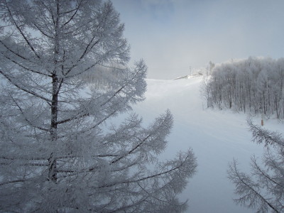 DSCN0705_1.jpg