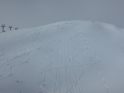 DSCN0727_1.jpg