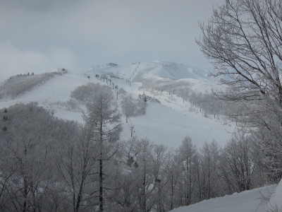 DSCN1077_1.jpg