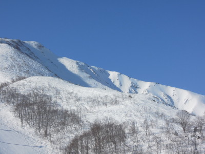 DSCN1135_1.jpg