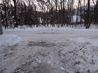DSCN1233.jpg