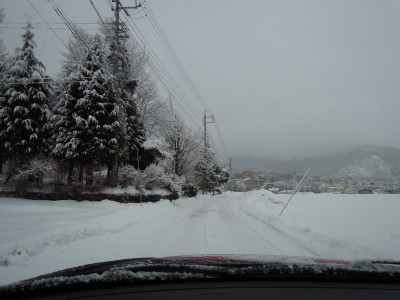 DSCN1341.jpg