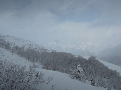 DSCN1471.jpg