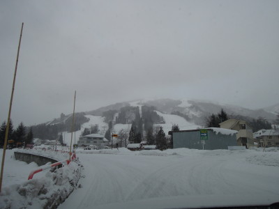 DSCN1603.jpg