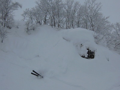 DSCN2008.jpg