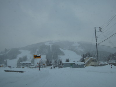 DSCN2096.jpg