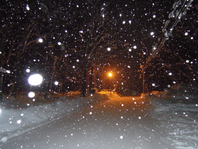DSCN2156.jpg
