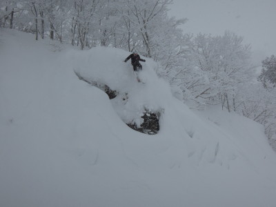 DSCN2206.jpg