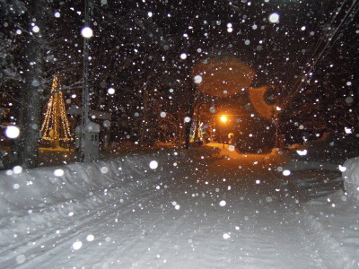 DSCN2336.jpg