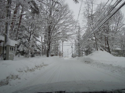 DSCN2342.jpg