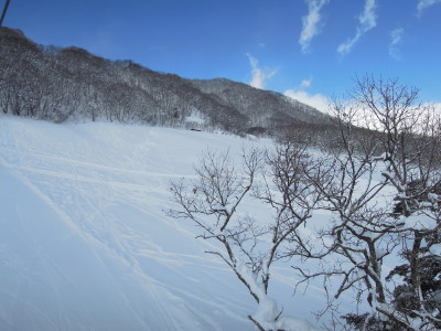 DSCN2517.jpg