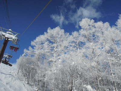 DSCN2521.jpg