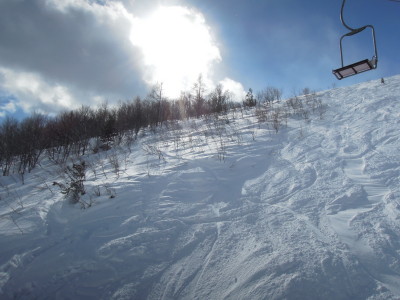 DSCN2528.jpg
