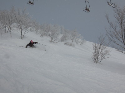 DSCN2784.jpg