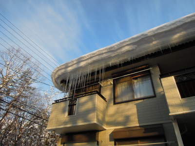 DSCN2881.jpg