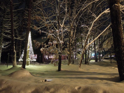 DSCN3252_1.jpg