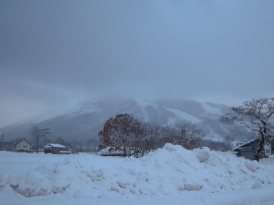 DSCN3375.jpg