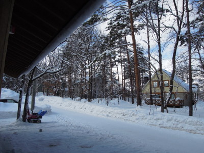 DSCN3396.jpg