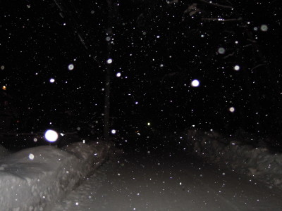 DSCN3424_2.jpg