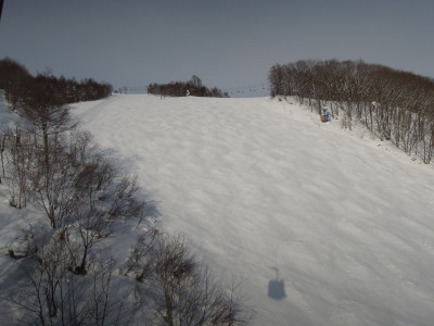 DSCN3484.jpg