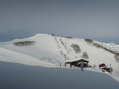 DSCN3486.jpg
