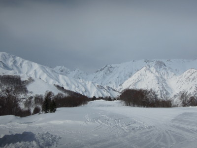 DSCN3558.jpg