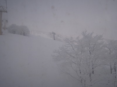 DSCN3700.jpg