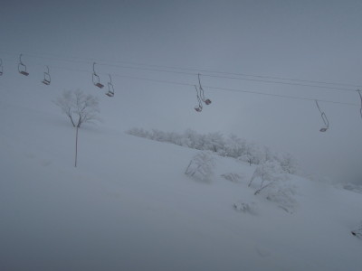 DSCN3711.jpg