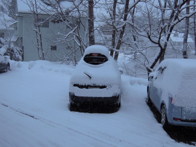 DSCN3805_1.jpg