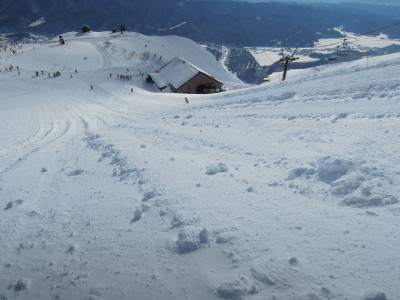 DSCN3889.jpg