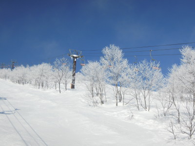 DSCN3976.jpg
